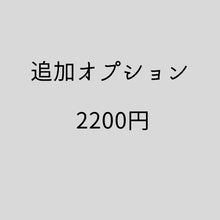 画像をギャラリービューアに読み込む, 【追加オプション】『2200円』